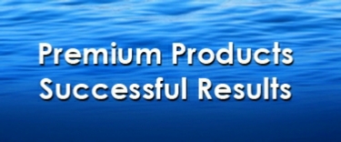 AQN Logo